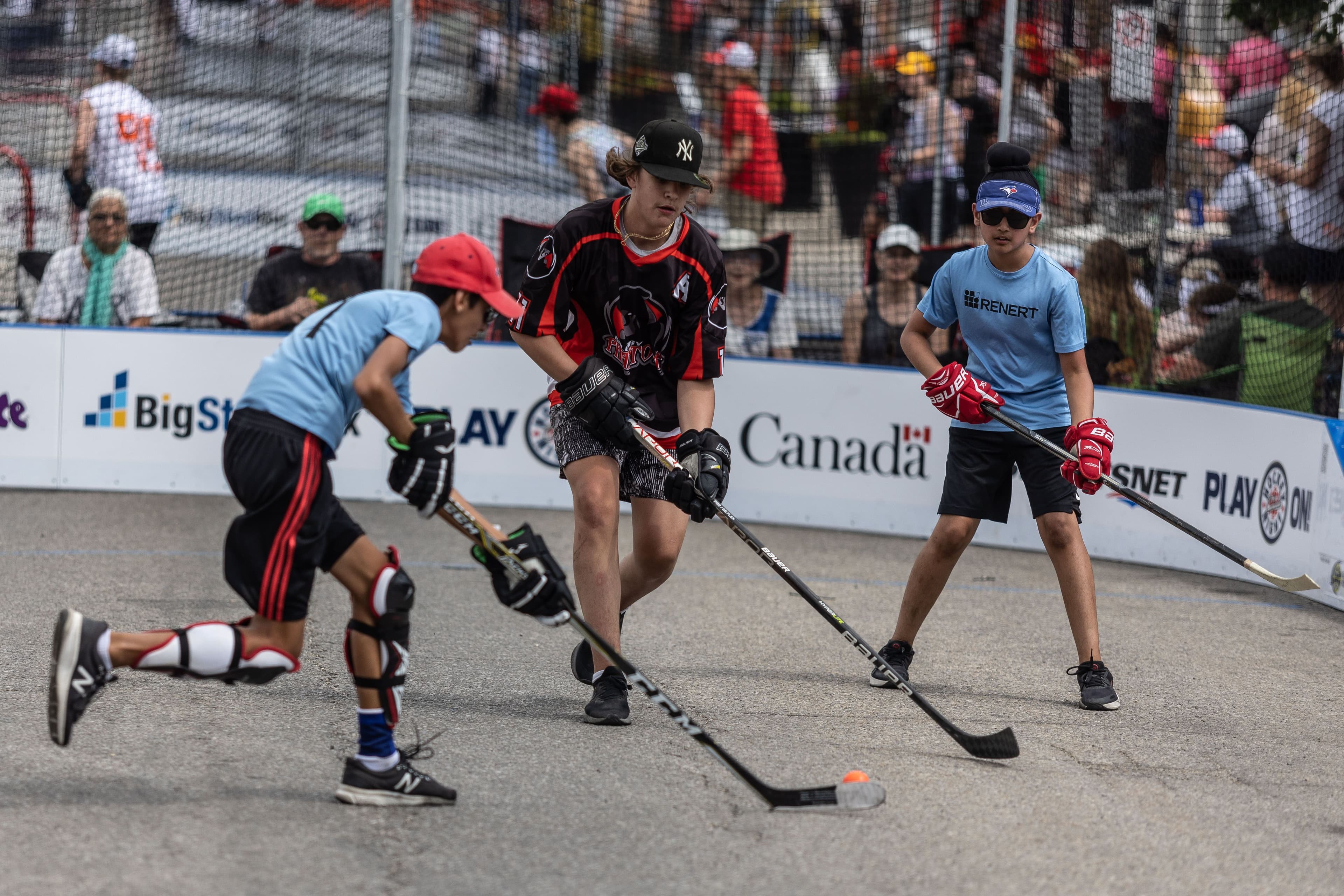 52261445854_8f3148951c_o.jpg 52261445854_8f3148951c_o.jpg